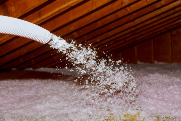 Best Insulation Maintenance and Repair in Great Neck Gardens, NY